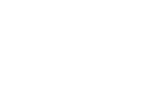 Young Bold Collective